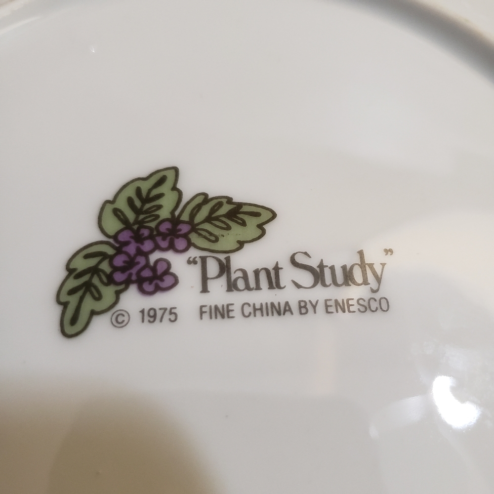 Enesco | Vintage Plant Study 1975 houseplant plate - Picture 8 of 8